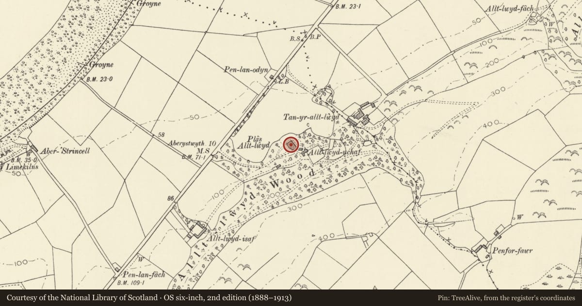 Ordnance Survey six-inch map, 2nd edition (1888–1913) covering the location of Plas Gwyn, Llansantffraed, Ceredigion, with a pin at the register's coordinates