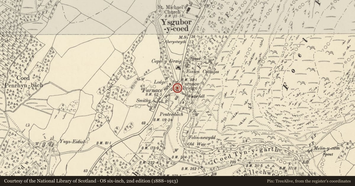 Ordnance Survey six-inch map, 2nd edition (1888–1913) covering the location of Dyfi Furnace, Ysgubor-y-Coed, Ceredigion, with a pin at the register's coordinates
