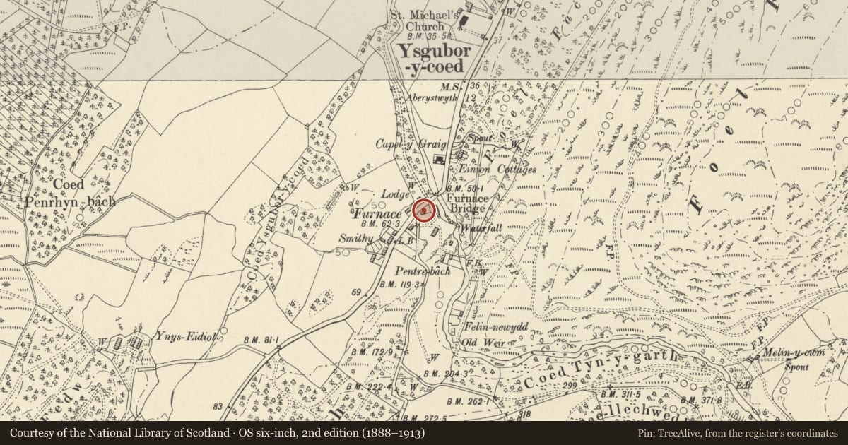Ordnance Survey six-inch map, 2nd edition (1888–1913) covering the location of Furnace House/Ty Furnace, Ysgubor-y-Coed, Ceredigion, with a pin at the register's coordinates