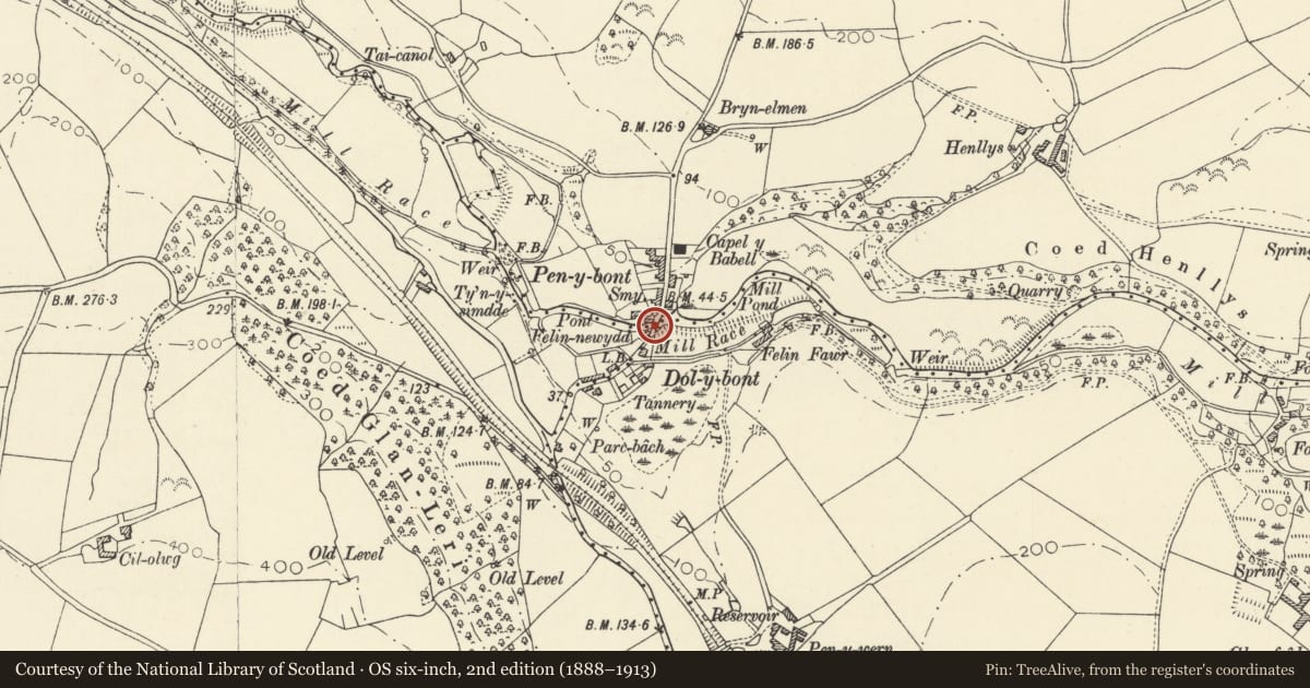 Ordnance Survey six-inch map, 2nd edition (1888–1913) covering the location of Pont Felin-newydd, Geneu'r Glyn, Ceredigion, with a pin at the register's coordinates