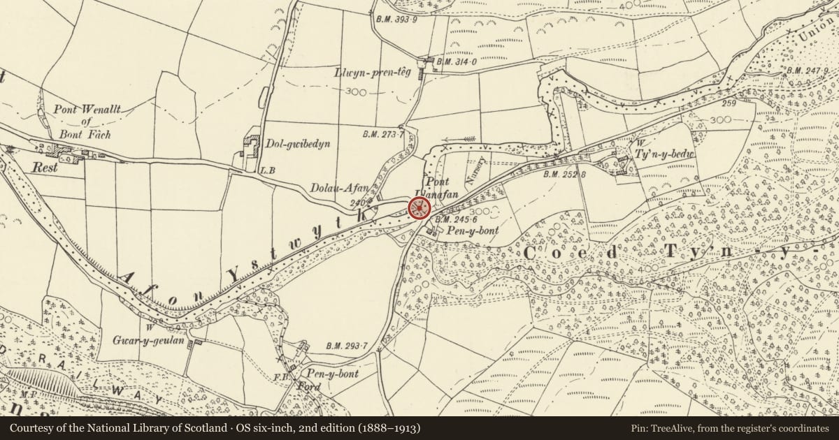 Ordnance Survey six-inch map, 2nd edition (1888–1913) covering the location of Pont Llanafan, Trawsgoed, Ceredigion, with a pin at the register's coordinates