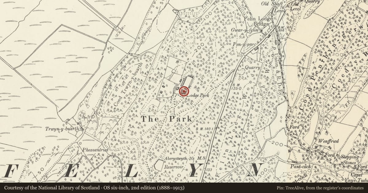 Ordnance Survey six-inch map, 2nd edition (1888–1913) covering the location of Lodge Park, Llangynfelyn, Ceredigion, with a pin at the register's coordinates