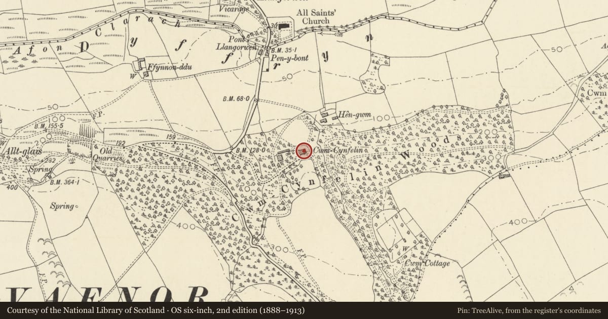 Ordnance Survey six-inch map, 2nd edition (1888–1913) covering the location of Plas Cwmcynfelin, Tirymynach, Ceredigion, with a pin at the register's coordinates
