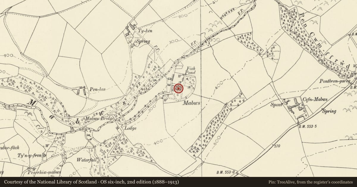 Ordnance Survey six-inch map, 2nd edition (1888–1913) covering the location of Mabws Hall, Llanrhystyd, Ceredigion, with a pin at the register's coordinates