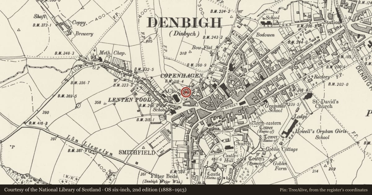 Ordnance Survey six-inch map, 2nd edition (1888–1913) covering the location of Bryn Celyn, Denbigh, Denbighshire, with a pin at the register's coordinates