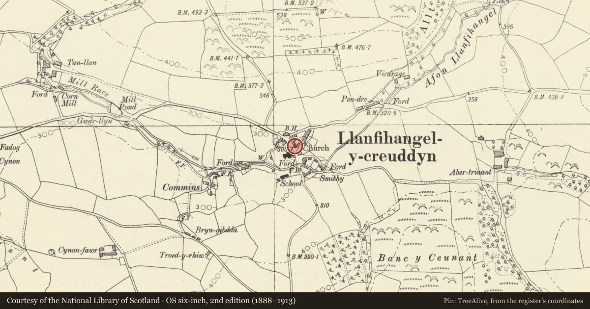 Ordnance Survey six-inch map, 2nd edition (1888–1913) covering the location of Llwyn House, Trawsgoed, Ceredigion, with a pin at the register's coordinates
