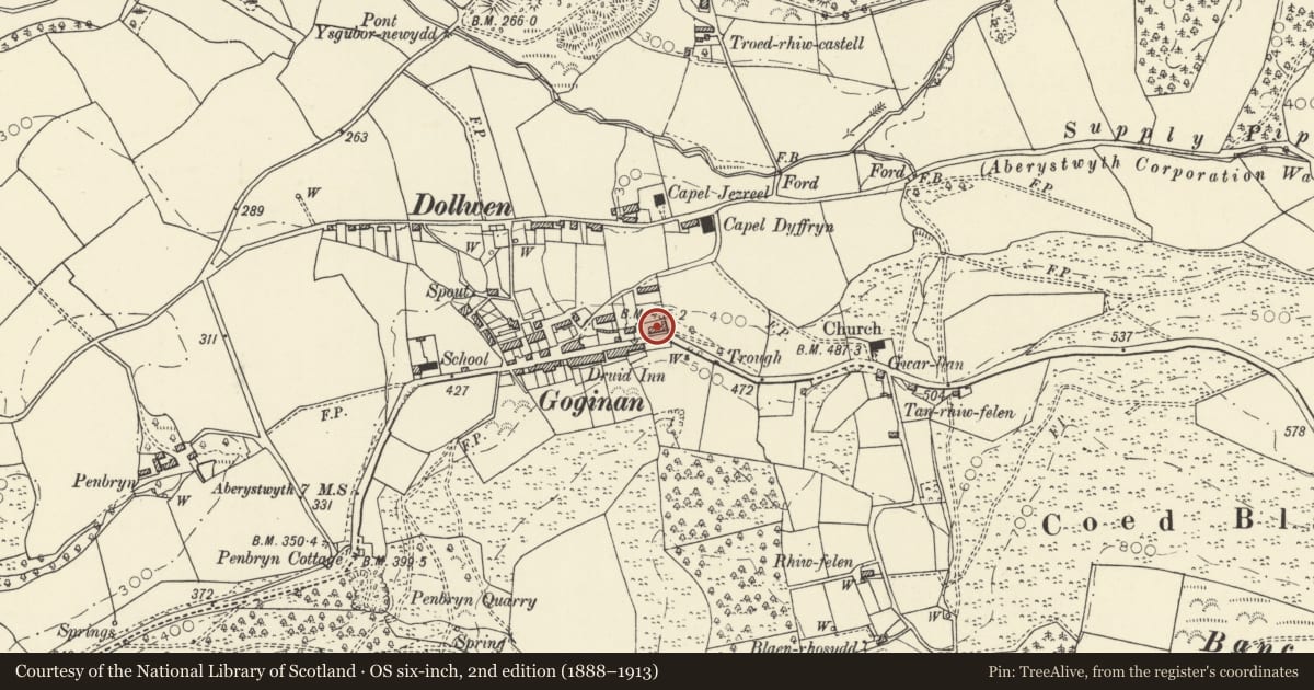 Ordnance Survey six-inch map, 2nd edition (1888–1913) covering the location of Mount Pleasant including railings to front, Melindwr, Ceredigion, with a pin at the register's coordinates