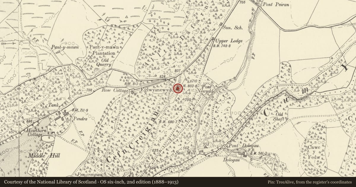 Ordnance Survey six-inch map, 2nd edition (1888–1913) covering the location of Eglwys Newydd Church, Pontarfynach, Ceredigion, with a pin at the register's coordinates