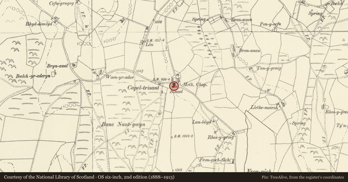Ordnance Survey six-inch map, 2nd edition (1888–1913) covering the location of Capel Trisant, Pontarfynach, Ceredigion, with a pin at the register's coordinates
