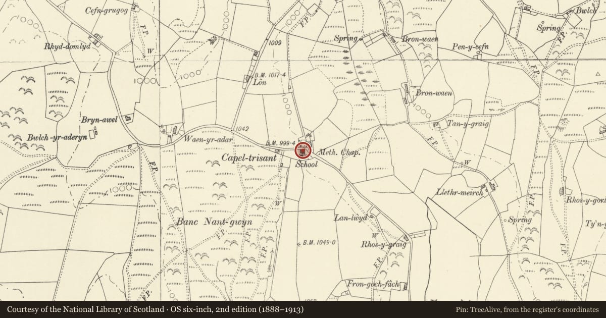 Ordnance Survey six-inch map, 2nd edition (1888–1913) covering the location of Ty Capel, Pontarfynach, Ceredigion, with a pin at the register's coordinates