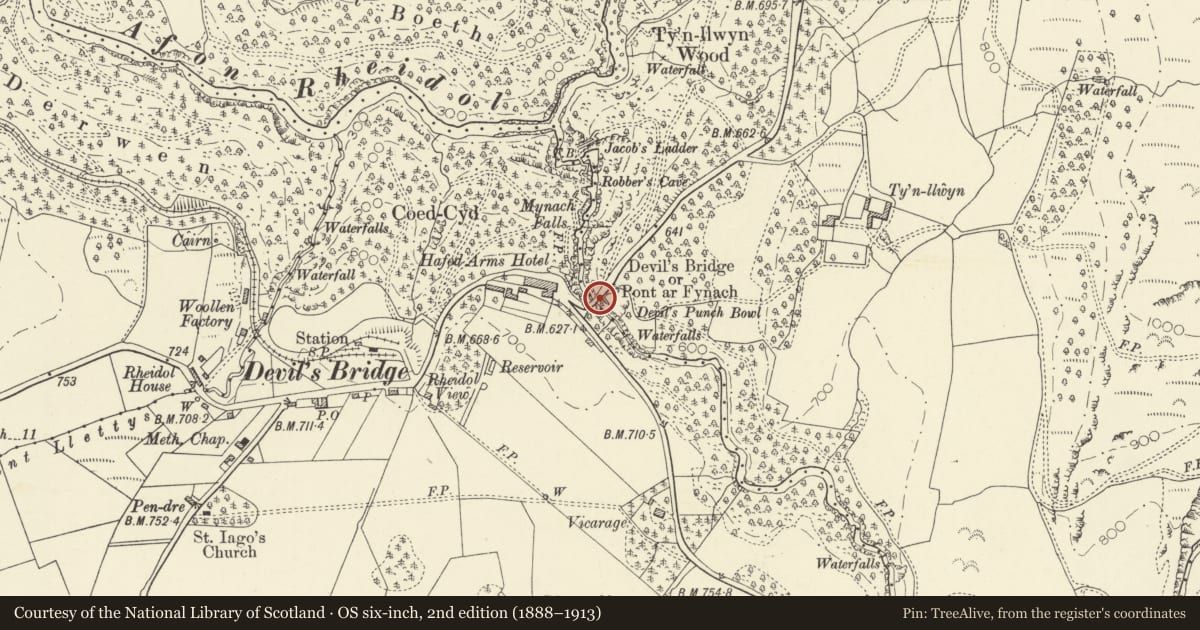 Ordnance Survey six-inch map, 2nd edition (1888–1913) covering the location of Devil's Bridge/Pont ar Fynach, Pontarfynach, Ceredigion, with a pin at the register's coordinates