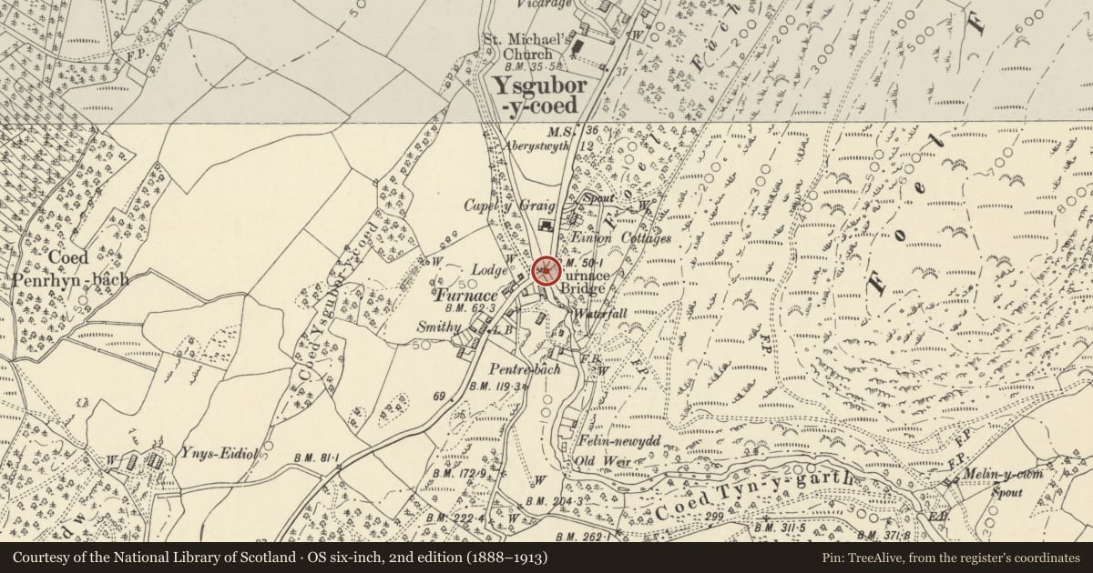 Ordnance Survey six-inch map, 2nd edition (1888–1913) covering the location of Furnace Bridge, Ysgubor-y-Coed, Ceredigion, with a pin at the register's coordinates