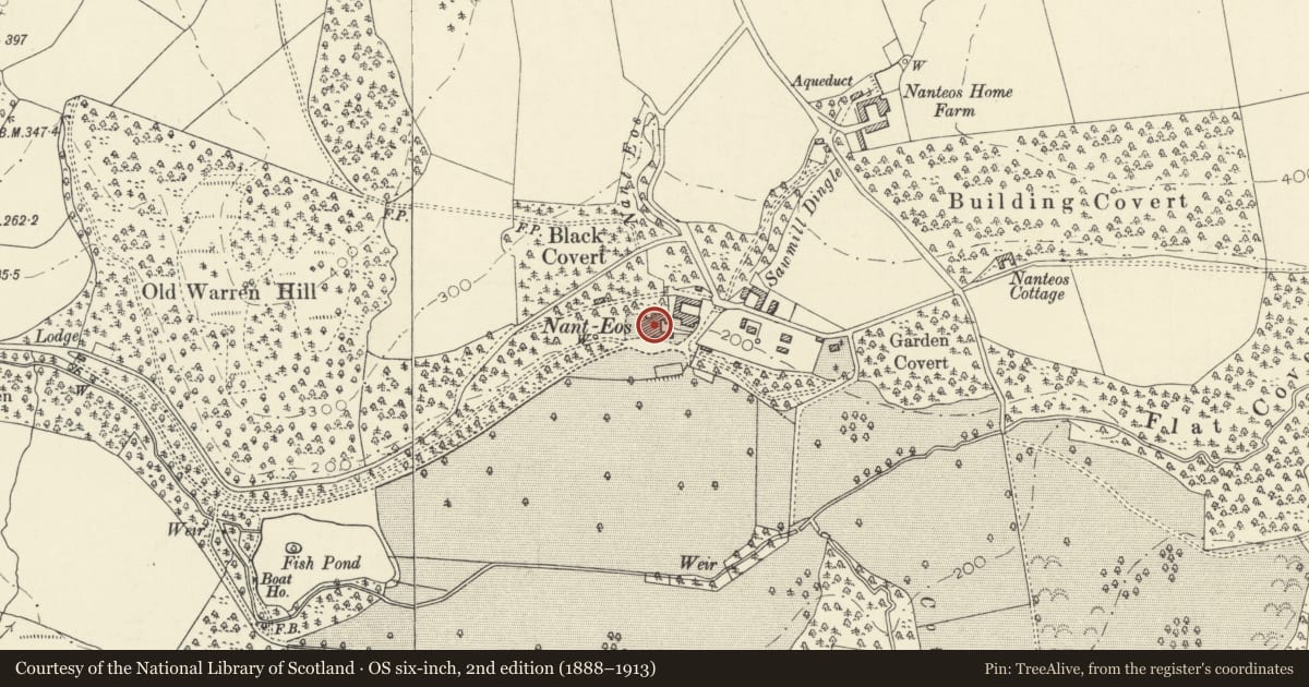 Ordnance Survey six-inch map, 2nd edition (1888–1913) covering the location of Nanteos, Llanfarian, Ceredigion, with a pin at the register's coordinates