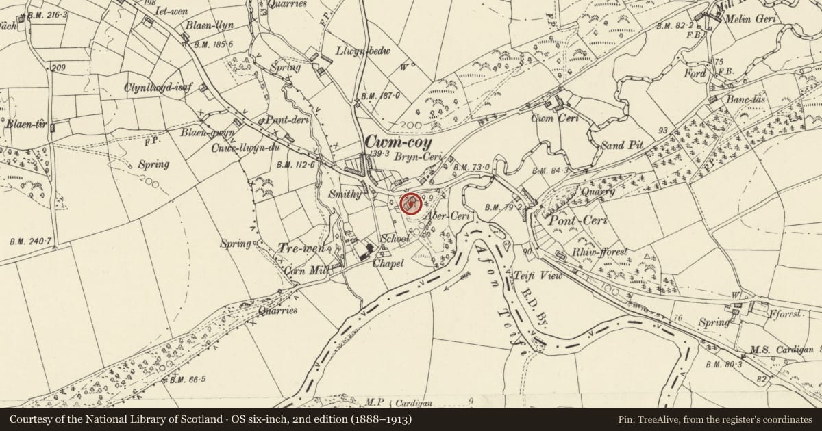 Ordnance Survey six-inch map, 2nd edition (1888–1913) covering the location of Aberceri, Beulah, Ceredigion, with a pin at the register's coordinates