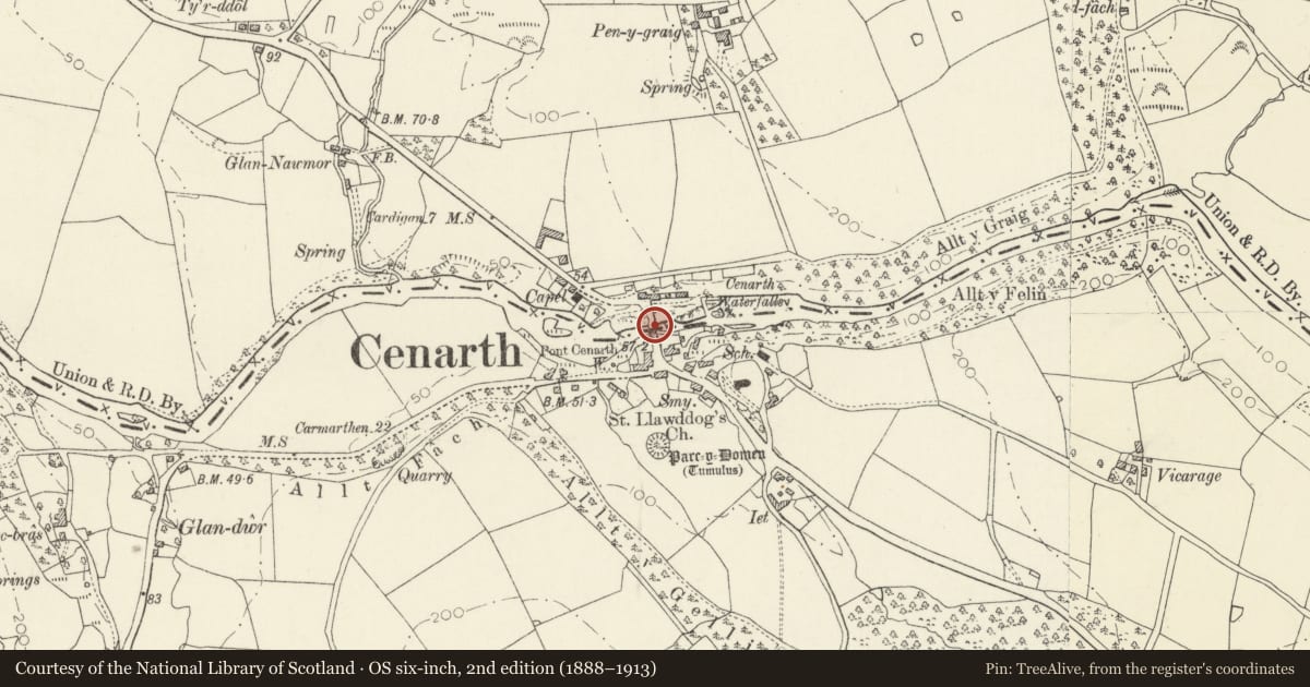 Ordnance Survey six-inch map, 2nd edition (1888–1913) covering the location of Cenarth Bridge (partly in Carmarthen District), Carmarthenshire, with a pin at the register's coordinates