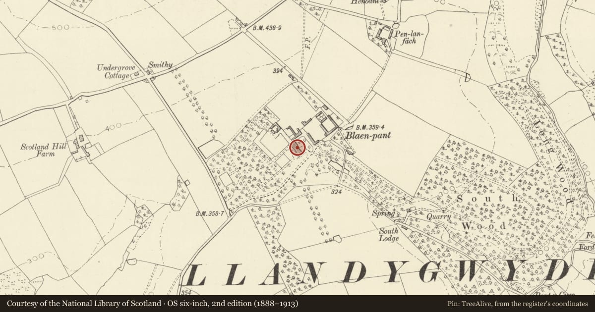 Ordnance Survey six-inch map, 2nd edition (1888–1913) covering the location of Blaenpant, Beulah, Ceredigion, with a pin at the register's coordinates