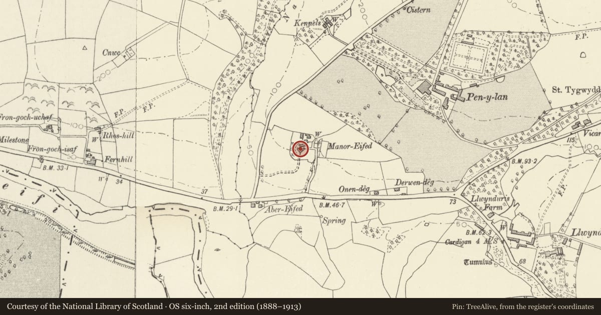 Ordnance Survey six-inch map, 2nd edition (1888–1913) covering the location of Manoreifed, Beulah, Ceredigion, with a pin at the register's coordinates