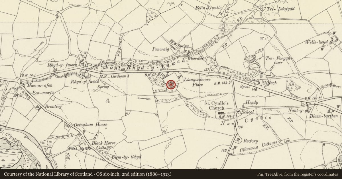 Ordnance Survey six-inch map, 2nd edition (1888–1913) covering the location of Plas Llangoedmore, Ceredigion, with a pin at the register's coordinates