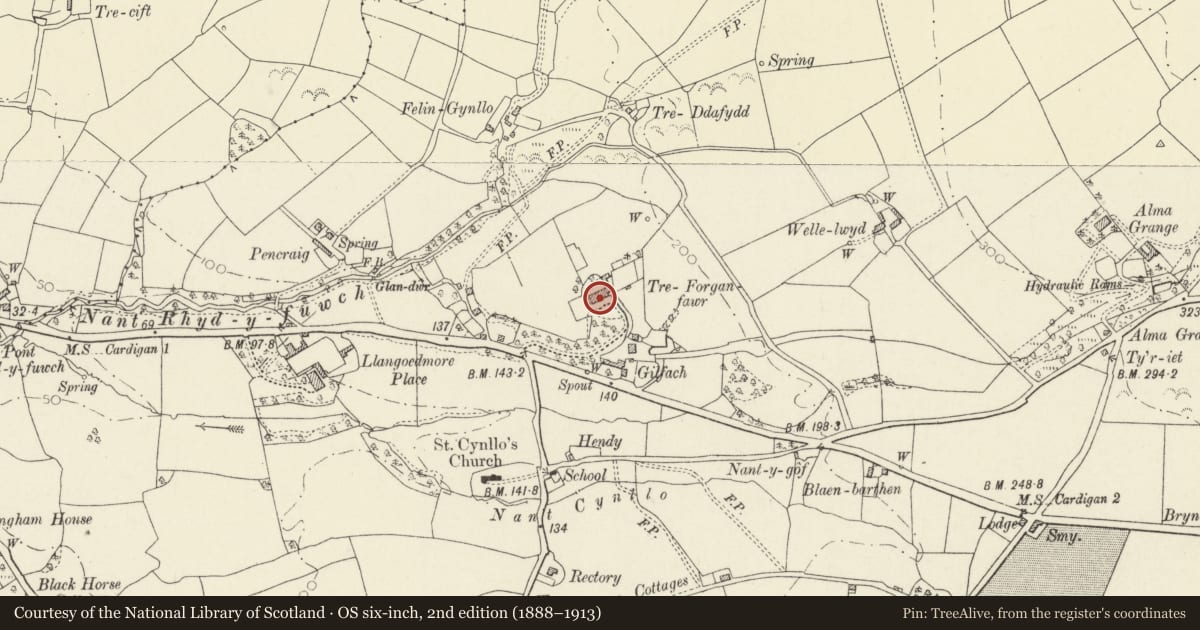Ordnance Survey six-inch map, 2nd edition (1888–1913) covering the location of Treforgan, Llangoedmor, Ceredigion, with a pin at the register's coordinates
