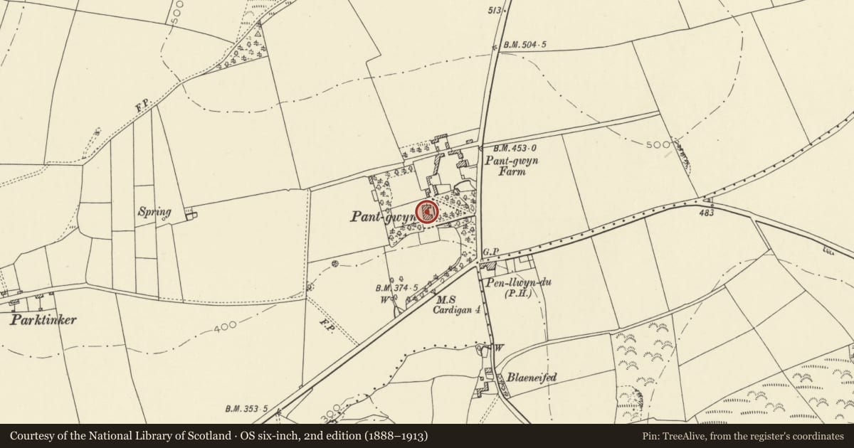Ordnance Survey six-inch map, 2nd edition (1888–1913) covering the location of Pantgwyn including attached NW range, Llangoedmor, Ceredigion, with a pin at the register's coordinates