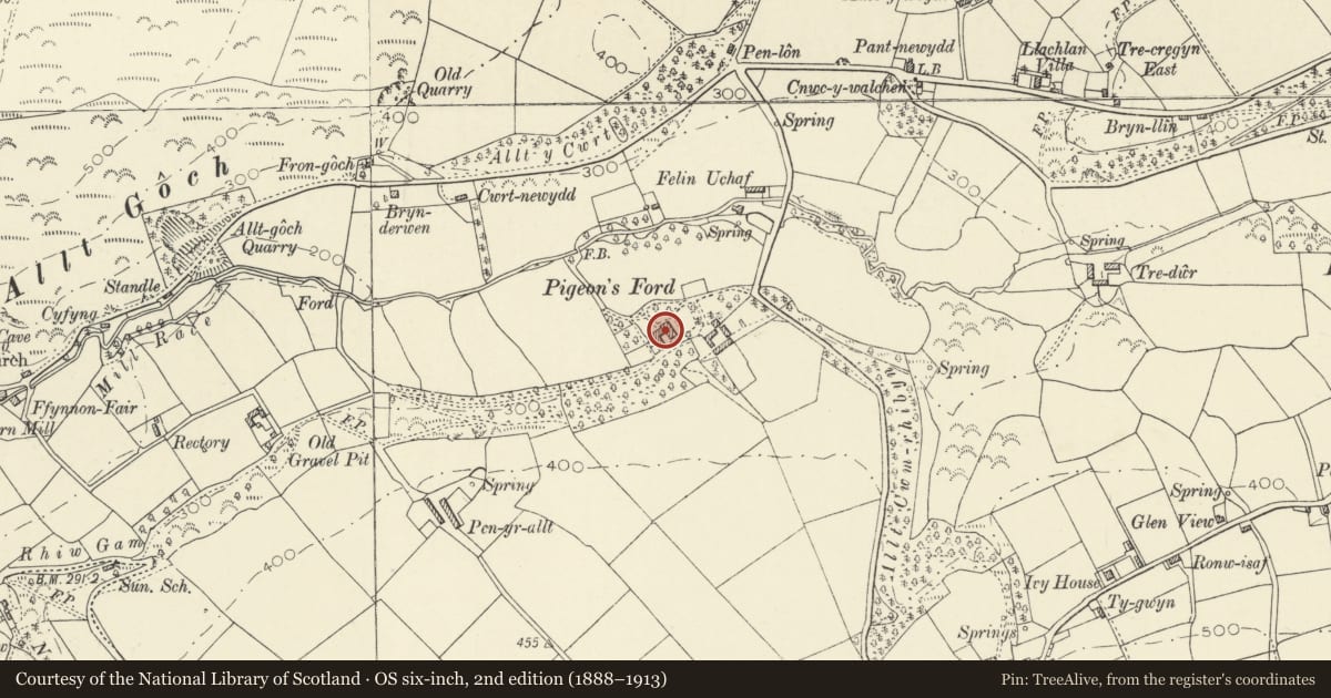 Ordnance Survey six-inch map, 2nd edition (1888–1913) covering the location of Pigeonsford Mansion, Llangrannog, Ceredigion, with a pin at the register's coordinates