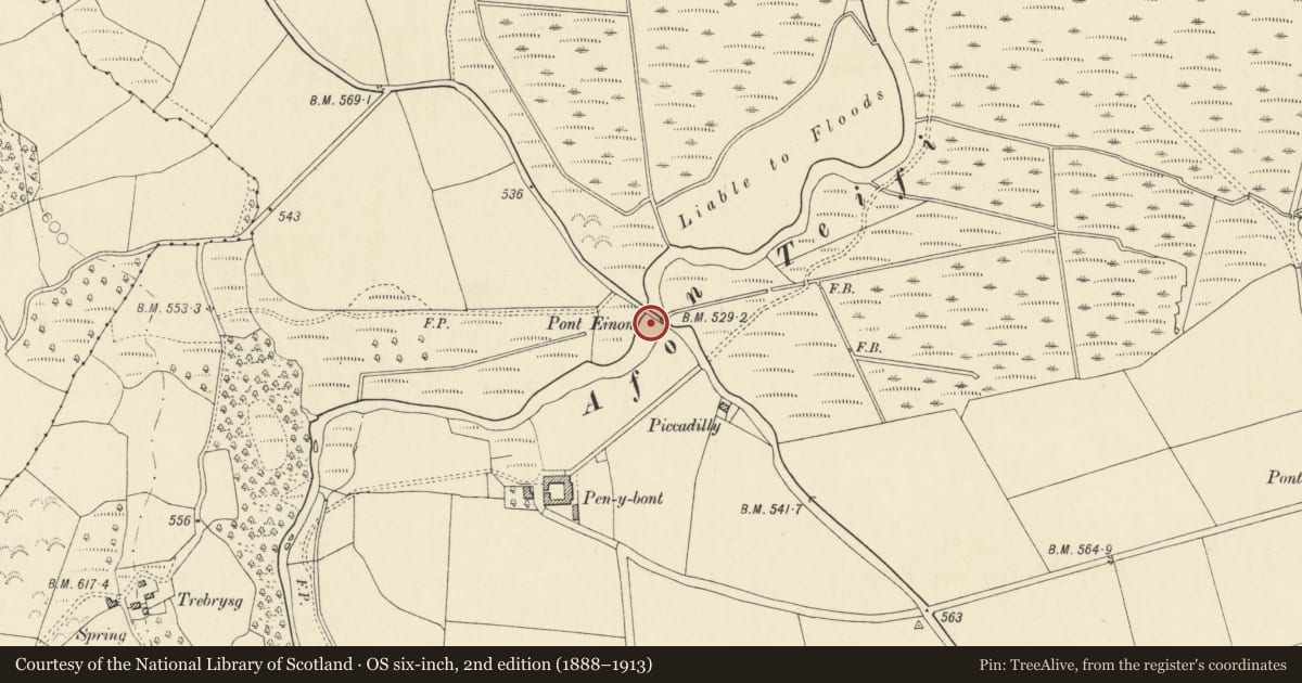 Ordnance Survey six-inch map, 2nd edition (1888–1913) covering the location of Pont Einon, Tregaron, Ceredigion, with a pin at the register's coordinates