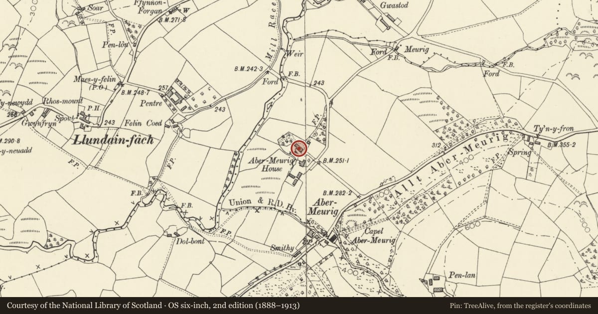 Ordnance Survey six-inch map, 2nd edition (1888–1913) covering the location of Abermeurig, Nantcwnlle, Ceredigion, with a pin at the register's coordinates