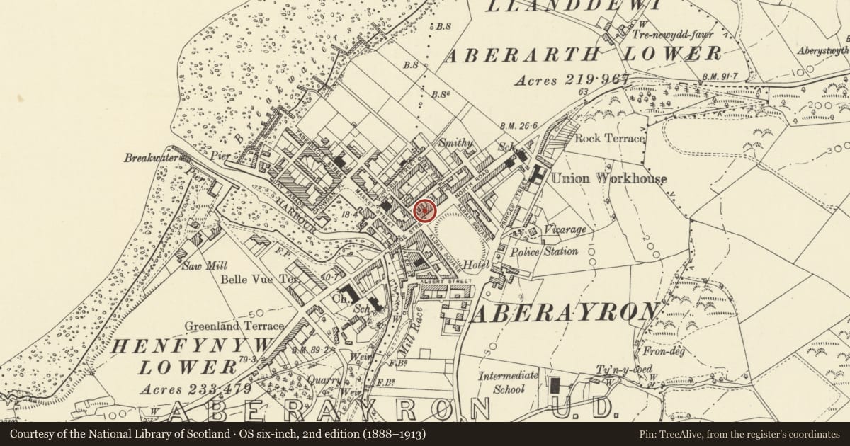 Ordnance Survey six-inch map, 2nd edition (1888–1913) covering the location of 2 Alban Square, Aberaeron, Ceredigion, with a pin at the register's coordinates