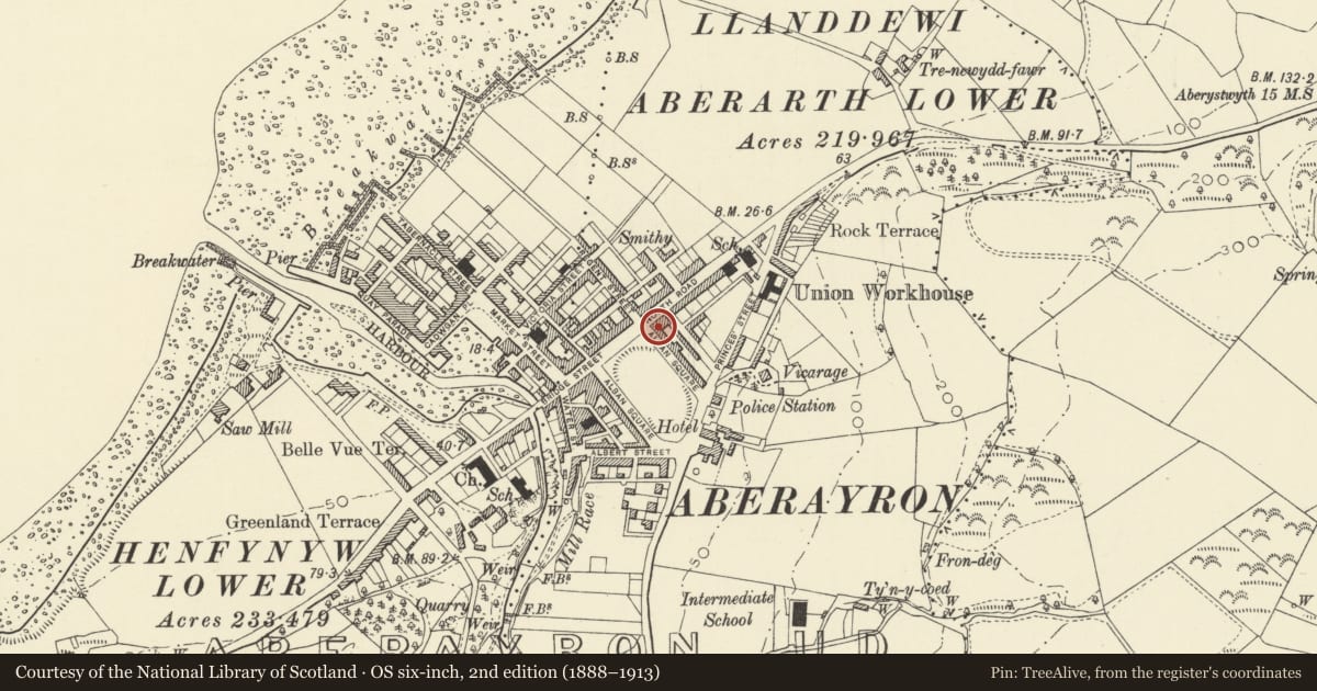 Ordnance Survey six-inch map, 2nd edition (1888–1913) covering the location of 10 Alban Square, Aberaeron, Ceredigion, with a pin at the register's coordinates