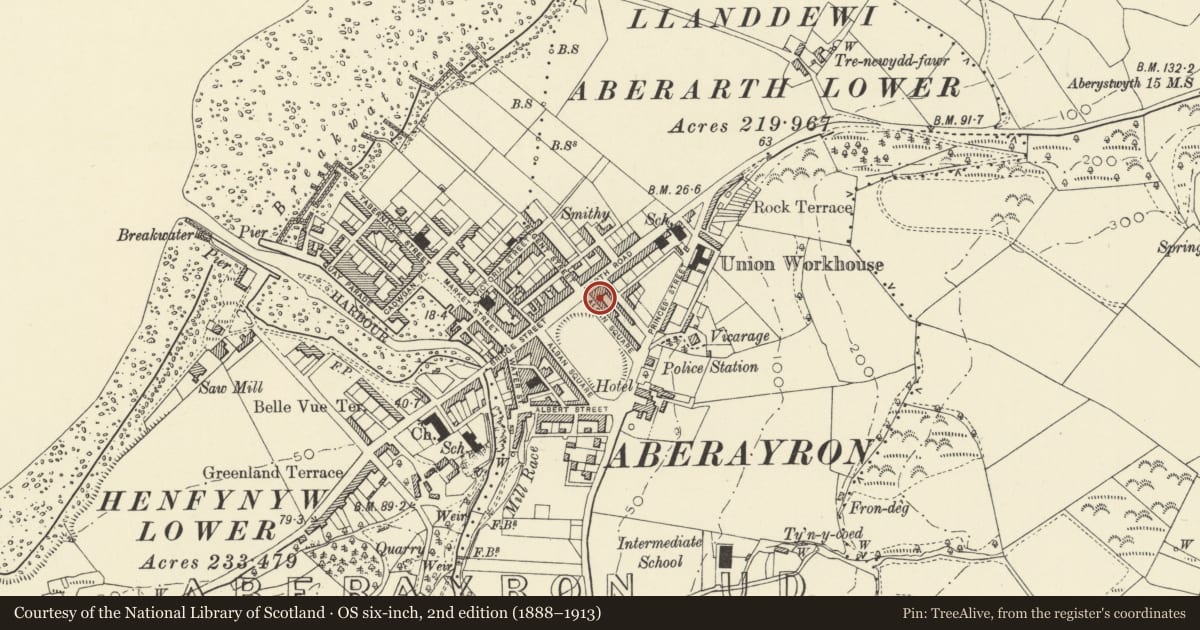 Ordnance Survey six-inch map, 2nd edition (1888–1913) covering the location of 11 Alban Square, Aberaeron, Ceredigion, with a pin at the register's coordinates