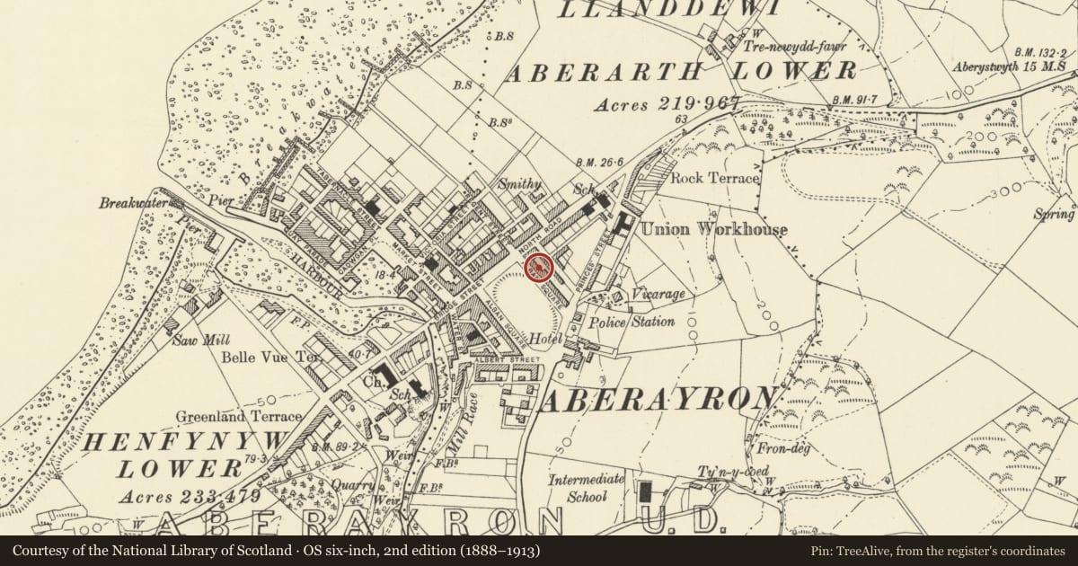 Ordnance Survey six-inch map, 2nd edition (1888–1913) covering the location of 13 Alban Square, Aberaeron, Ceredigion, with a pin at the register's coordinates
