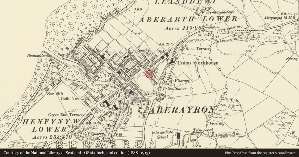 Ordnance Survey six-inch map, 2nd edition (1888–1913) covering the location of 14 Alban Square, Aberaeron, Ceredigion, with a pin at the register's coordinates