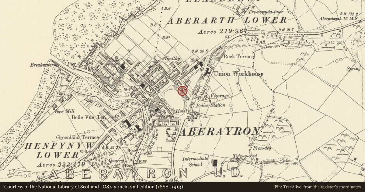 Ordnance Survey six-inch map, 2nd edition (1888–1913) covering the location of 16 Alban Square, Aberaeron, Ceredigion, with a pin at the register's coordinates
