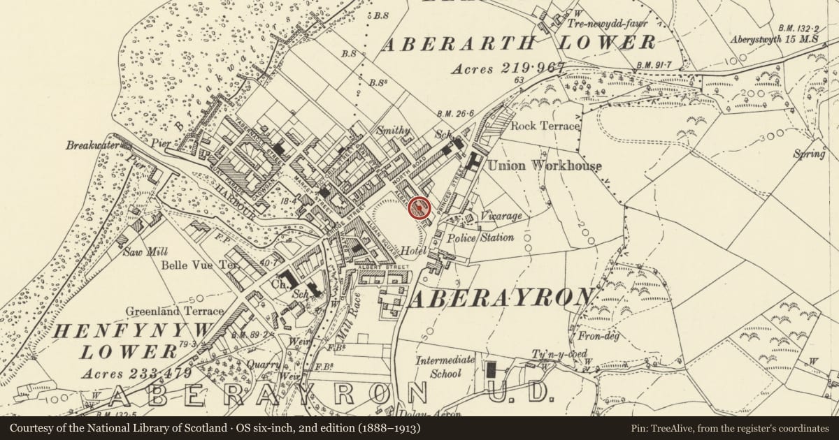 Ordnance Survey six-inch map, 2nd edition (1888–1913) covering the location of 17 Alban Square, Aberaeron, Ceredigion, with a pin at the register's coordinates