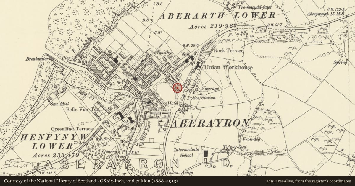 Ordnance Survey six-inch map, 2nd edition (1888–1913) covering the location of 19 Alban Square, Aberaeron, Ceredigion, with a pin at the register's coordinates