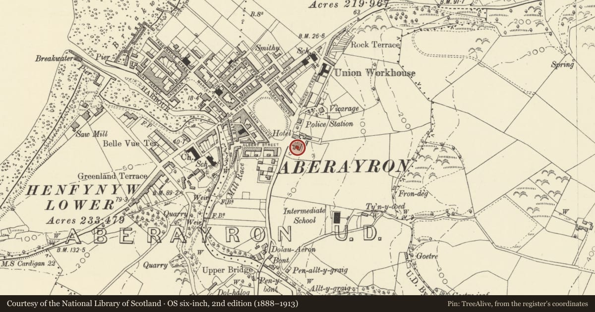 Ordnance Survey six-inch map, 2nd edition (1888–1913) covering the location of Feathers Royal Hotel, Aberaeron, Ceredigion, with a pin at the register's coordinates
