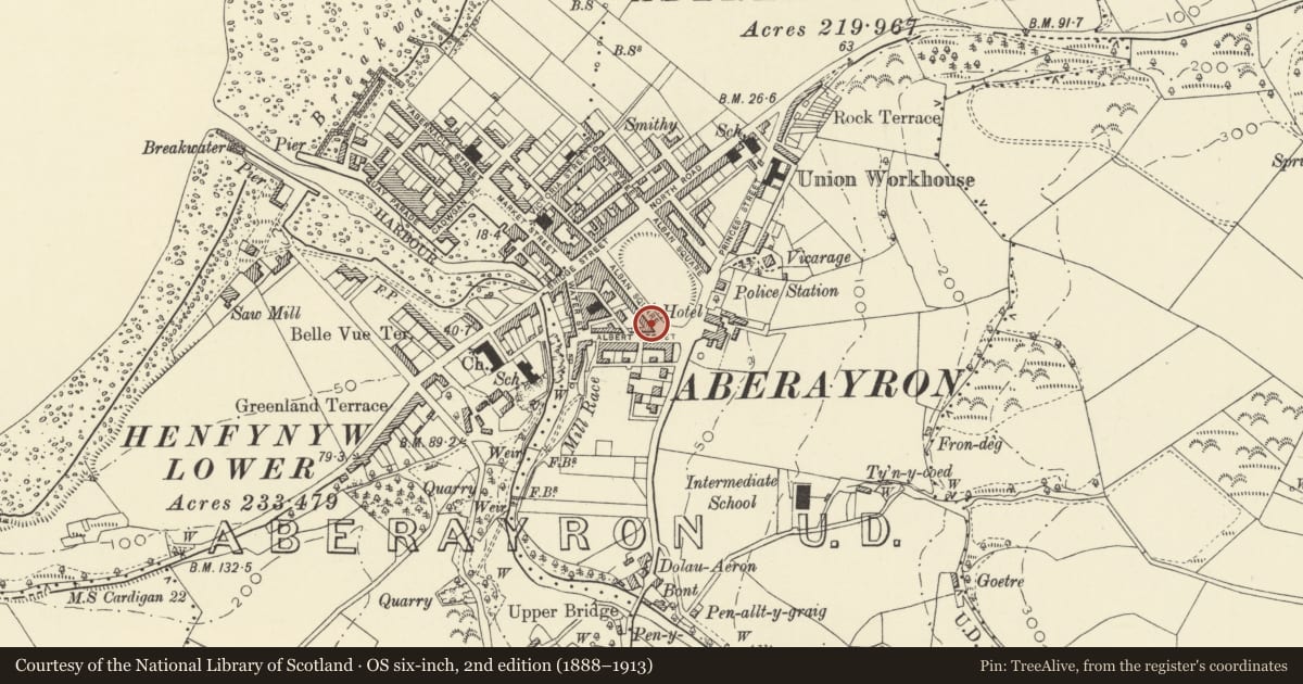 Ordnance Survey six-inch map, 2nd edition (1888–1913) covering the location of Llywelfa, Aberaeron, Ceredigion, with a pin at the register's coordinates