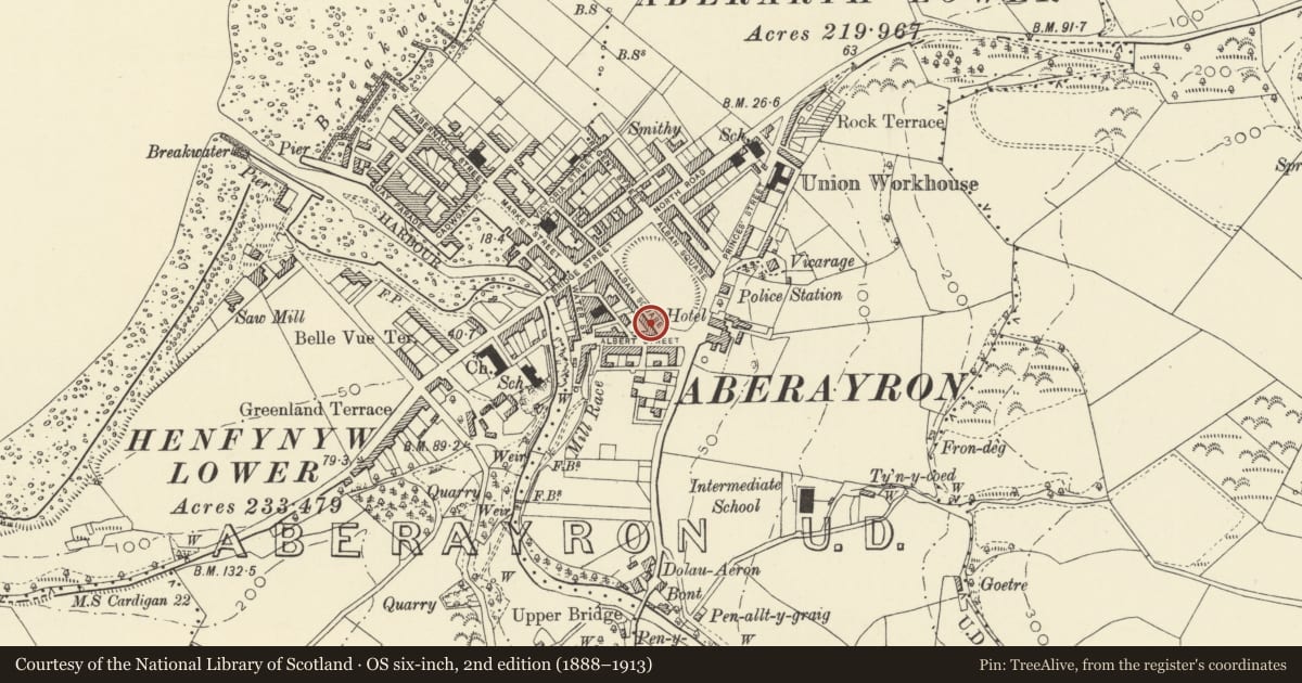 Ordnance Survey six-inch map, 2nd edition (1888–1913) covering the location of Brynathen & No 24, Aberaeron, Ceredigion, with a pin at the register's coordinates