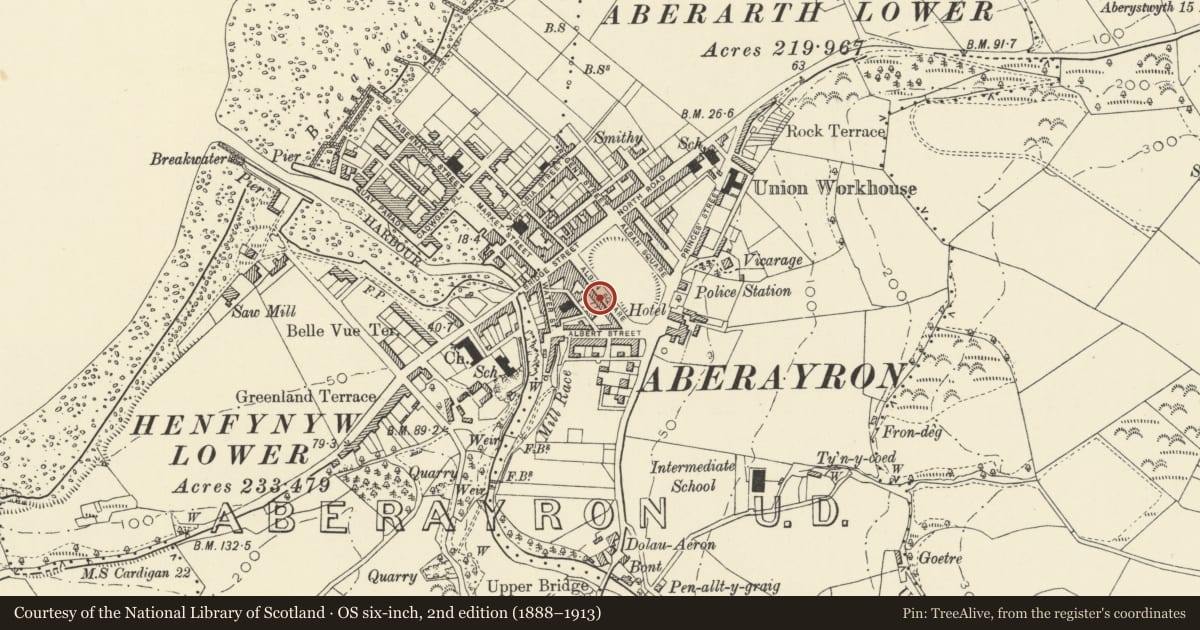 Ordnance Survey six-inch map, 2nd edition (1888–1913) covering the location of 28 Alban Square, Aberaeron, Ceredigion, with a pin at the register's coordinates