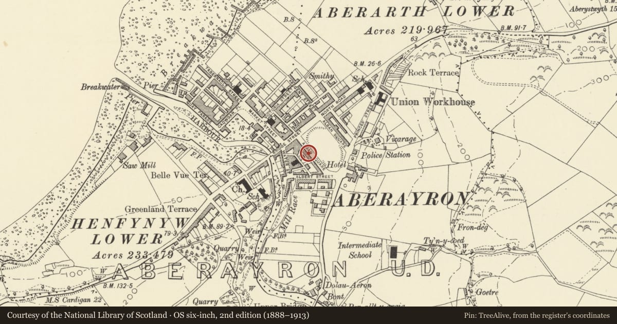 Ordnance Survey six-inch map, 2nd edition (1888–1913) covering the location of 30 Alban Square, Aberaeron, Ceredigion, with a pin at the register's coordinates