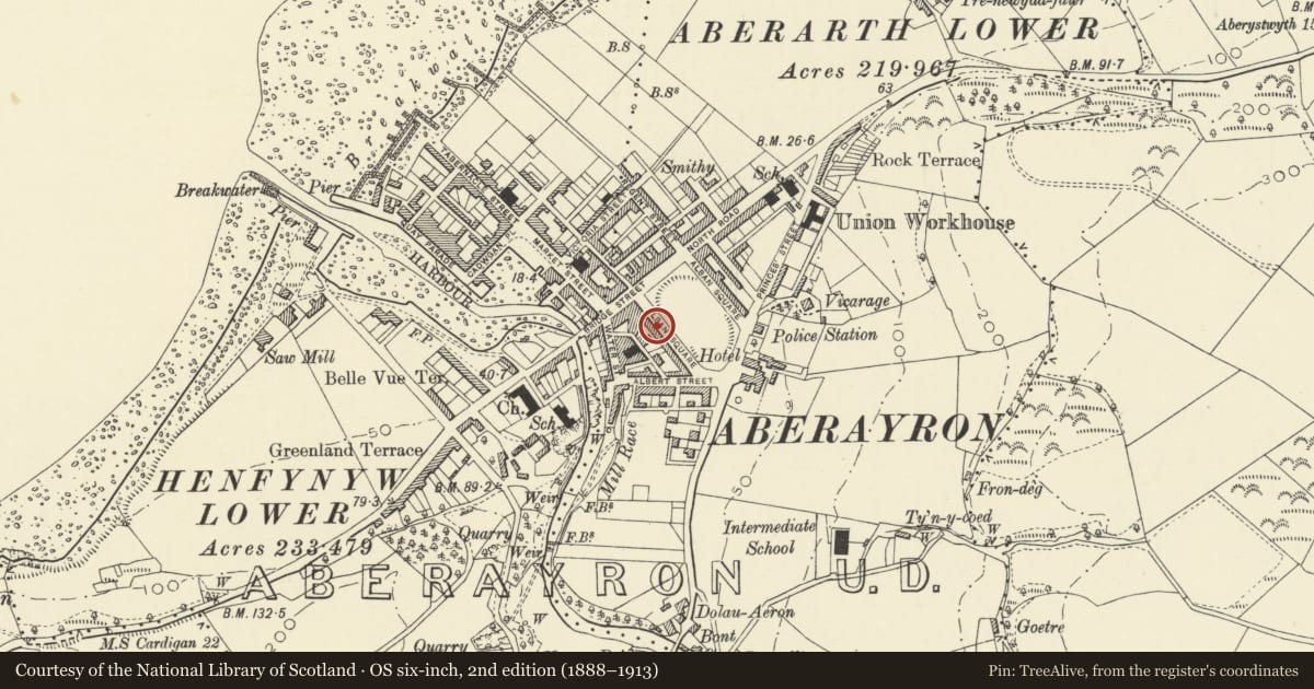 Ordnance Survey six-inch map, 2nd edition (1888–1913) covering the location of Black Lion Hotel, Aberaeron, Ceredigion, with a pin at the register's coordinates