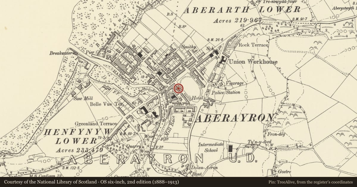 Ordnance Survey six-inch map, 2nd edition (1888–1913) covering the location of 32 Alban Square, Aberaeron, Ceredigion, with a pin at the register's coordinates
