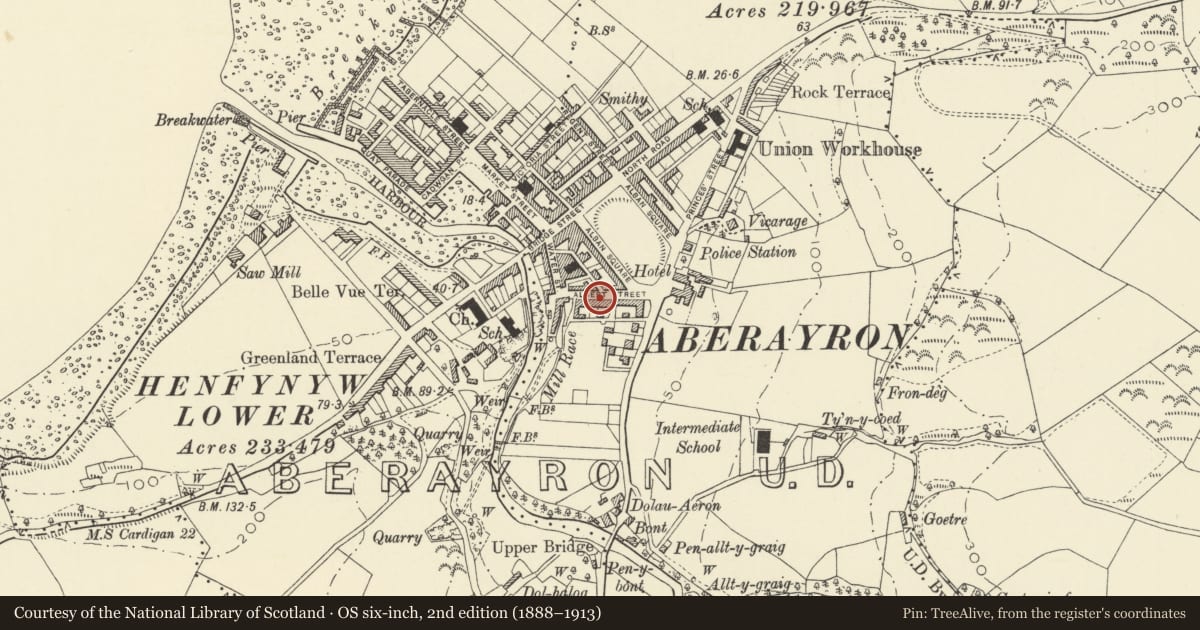 Ordnance Survey six-inch map, 2nd edition (1888–1913) covering the location of 16 Albert Street, Aberaeron, Ceredigion, with a pin at the register's coordinates