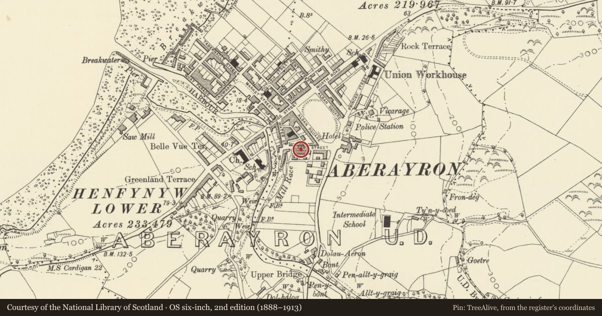 Ordnance Survey six-inch map, 2nd edition (1888–1913) covering the location of 18 Albert Street, Aberaeron, Ceredigion, with a pin at the register's coordinates