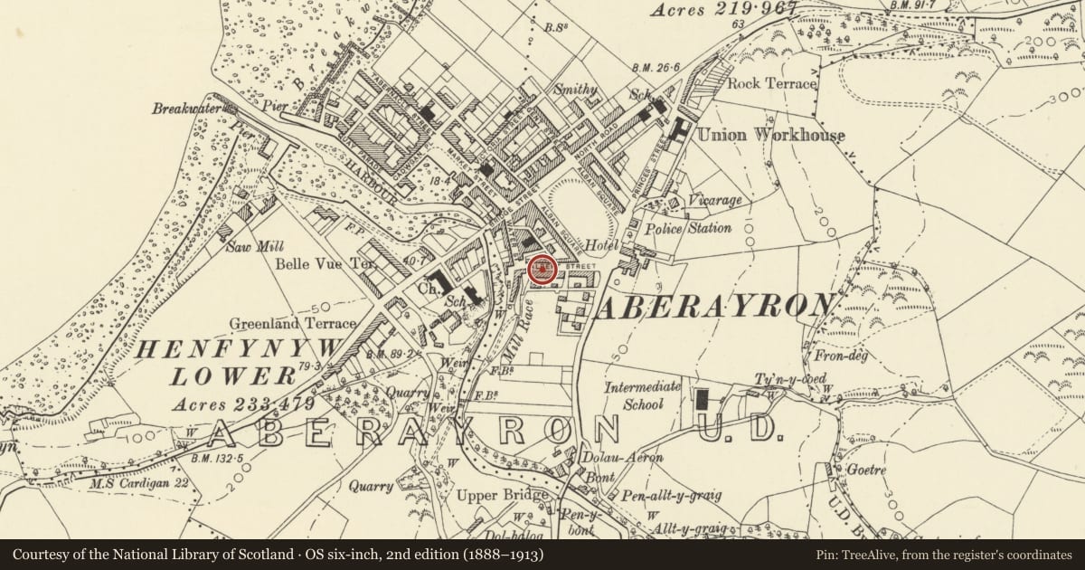 Ordnance Survey six-inch map, 2nd edition (1888–1913) covering the location of 19 Albert Street, Aberaeron, Ceredigion, with a pin at the register's coordinates