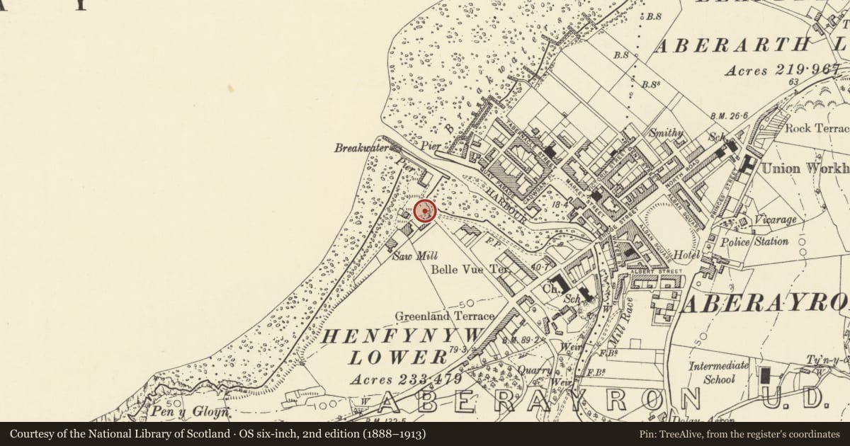 Ordnance Survey six-inch map, 2nd edition (1888–1913) covering the location of Weigh house, Aberaeron, Ceredigion, with a pin at the register's coordinates