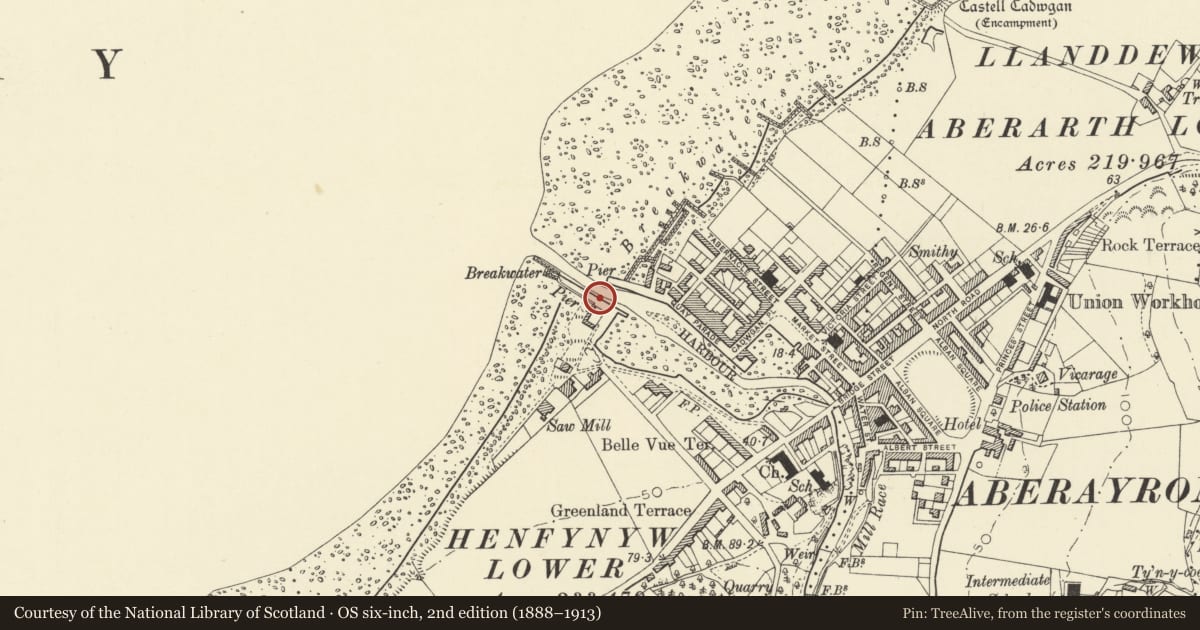 Ordnance Survey six-inch map, 2nd edition (1888–1913) covering the location of Southwest Pier to Harbour Basin, Aberaeron, Ceredigion, with a pin at the register's coordinates