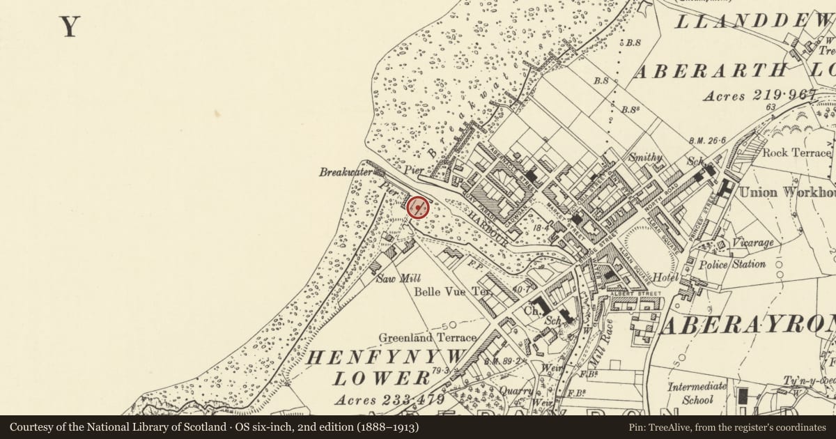 Ordnance Survey six-inch map, 2nd edition (1888–1913) covering the location of Northwest Quay to Harbour Basin, Aberaeron, Ceredigion, with a pin at the register's coordinates