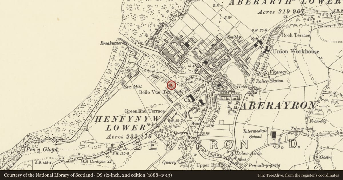 Ordnance Survey six-inch map, 2nd edition (1888–1913) covering the location of 8 Belle Vue Terrace, Aberaeron, Ceredigion, with a pin at the register's coordinates