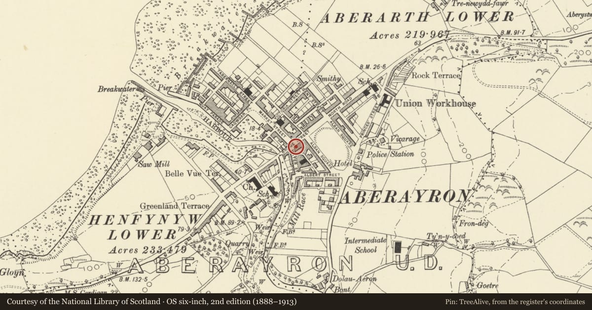 Ordnance Survey six-inch map, 2nd edition (1888–1913) covering the location of Anchor House - H Selwood, Aberaeron, Ceredigion, with a pin at the register's coordinates